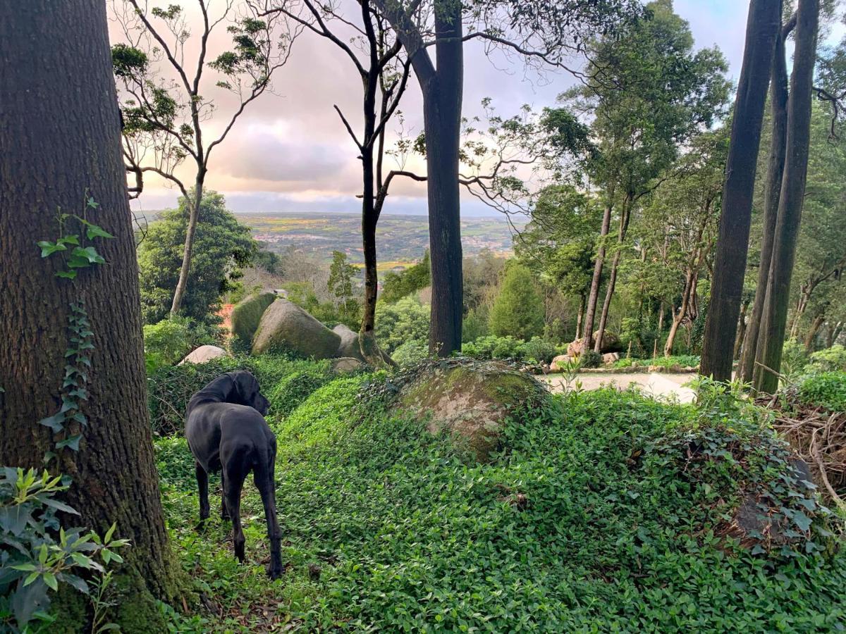 Eighteen21 Houses - Secluded Charm Cottage In Quinta Velha Sintra Exterior photo